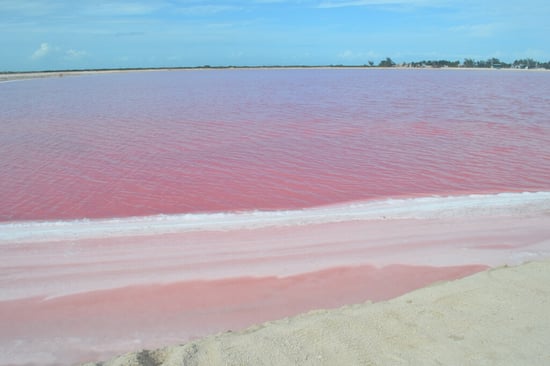 homepage-las-coloradas